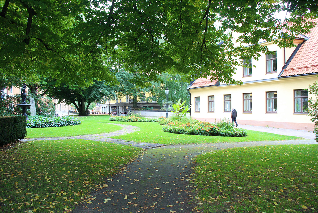 Foto på Afzeliiplan under sensommaren. Bilden visar parkens perennplanteringar och den igenkännbara fontänen syns på sidan.