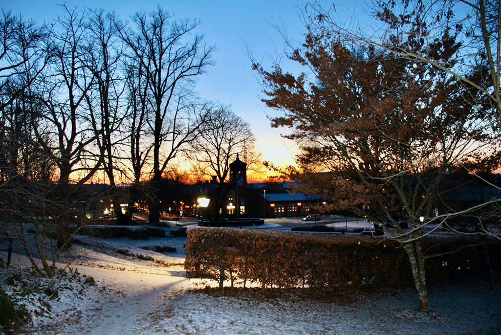 Foto på skolparken på vintern. I förgrunden syns snöklädd mark, därefter syns häckar och träd. Långt i bakgrunden syns siluetter av byggnader och träd mot en skymmande himmel.
